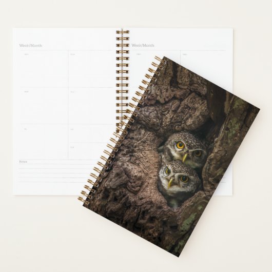 Forces Two Owls Looking Planner (Display)