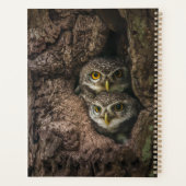 Forces Two Owls Looking Planner (Achterkant)