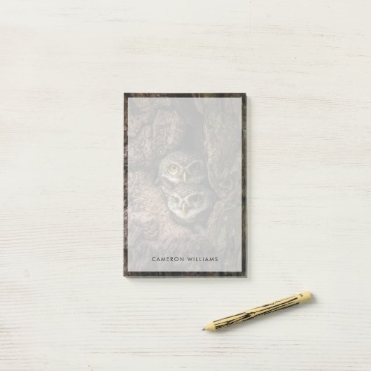 Forces Two Owls Looking Post-it® Notes (Op bureau)