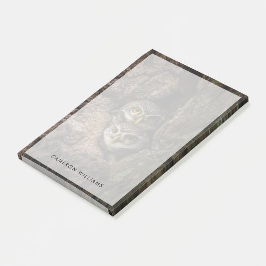 Forces Two Owls Looking Post-it® Notes (Schuin)