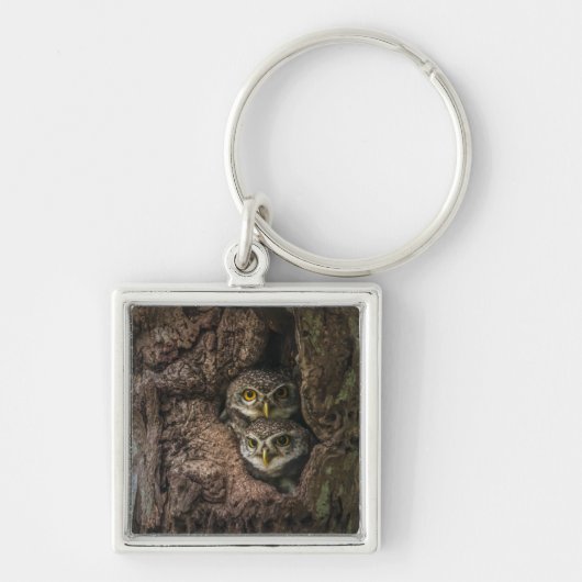 Forces Two Owls Looking Sleutelhanger (Voorkant)