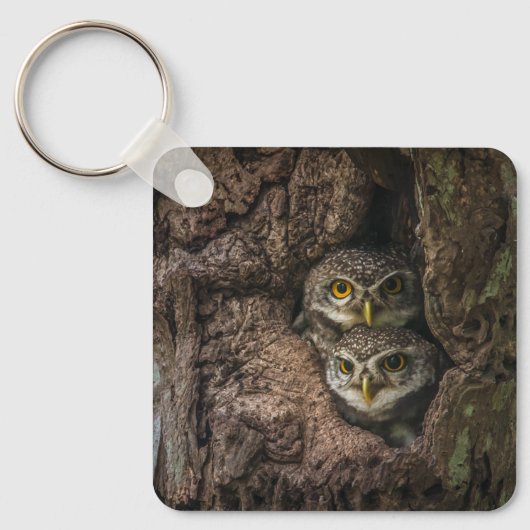 Forces Two Owls Looking Sleutelhanger (Voorkant)