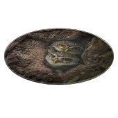 Forces Two Owls Looking Snijplank (Hoek)