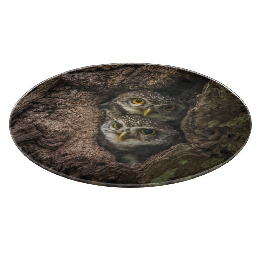 Forces Two Owls Looking Snijplank (Hoek)