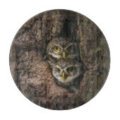 Forces Two Owls Looking Snijplank (Voorkant)