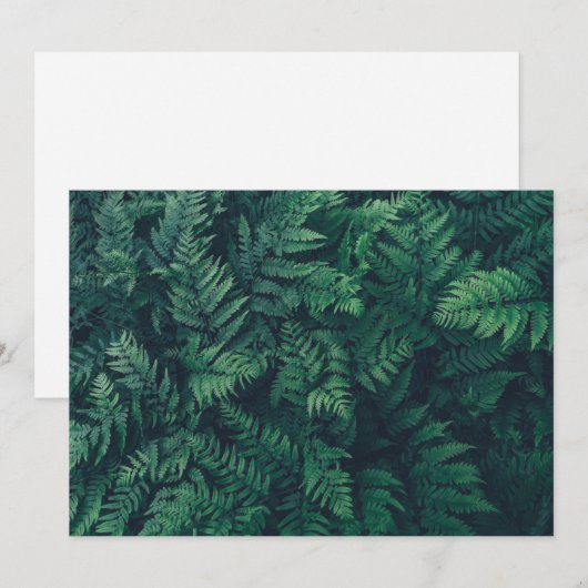 Forces | Woodland Ferns Bedankkaart (Voorkant / Achterkant)