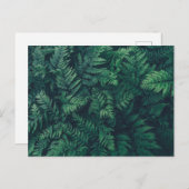 Forces | Woodland Ferns Briefkaart (Voorkant / Achterkant)