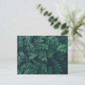 Forces | Woodland Ferns Briefkaart (Staand voorkant)