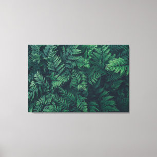 Forces Woodland Ferns Canvas Afdruk