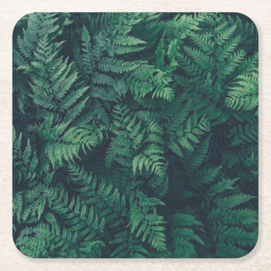 Forces | Woodland Ferns Kartonnen Onderzetters (Voorkant)