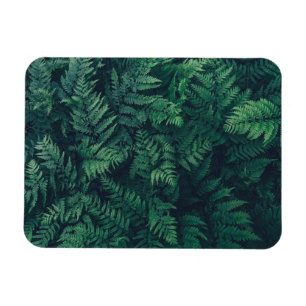 Forces Woodland Ferns Magneet
