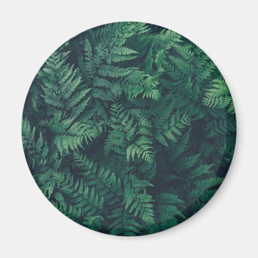 Forces | Woodland Ferns Magneet (Voorkant)