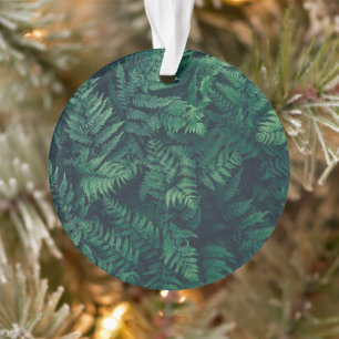Forces   Woodland Ferns Ornament