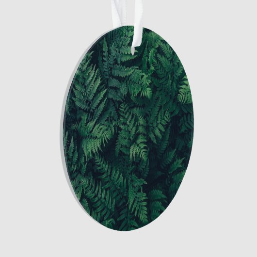 Forces | Woodland Ferns Ornament (voorkant)