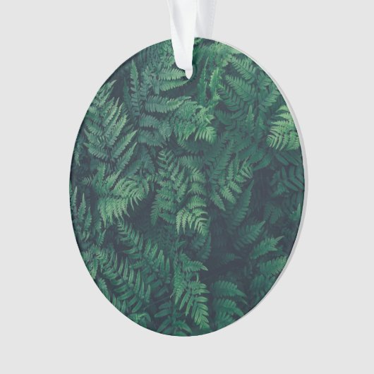 Forces | Woodland Ferns Ornament (voorkant)