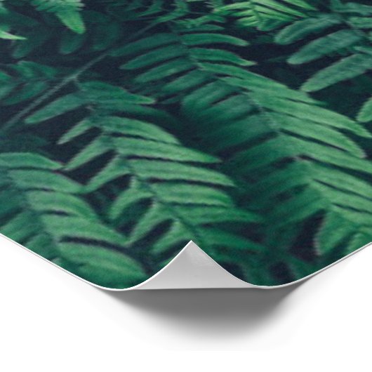 Forces | Woodland Ferns Poster (Hoek)