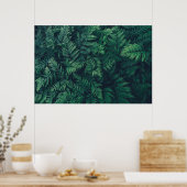 Forces | Woodland Ferns Poster (Keuken)