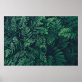 Forces | Woodland Ferns Poster (Voorkant)