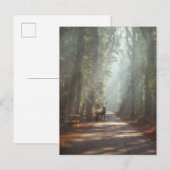 Forces | Woodland Stag Briefkaart (Voorkant / Achterkant)
