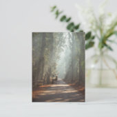 Forces | Woodland Stag Briefkaart (Staand voorkant)