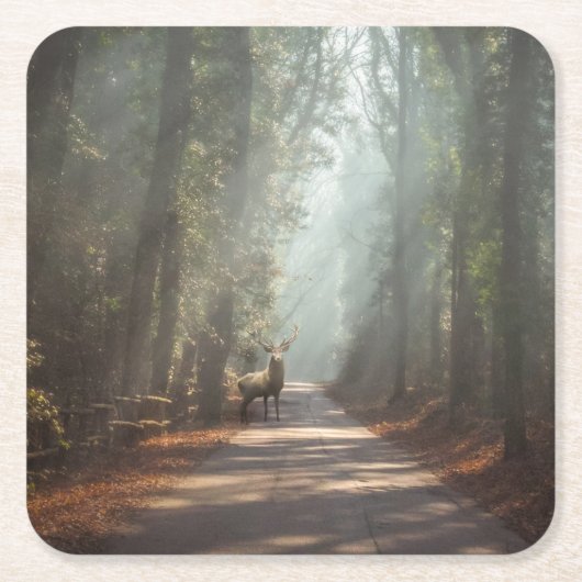 Forces | Woodland Stag Kartonnen Onderzetters (Voorkant)