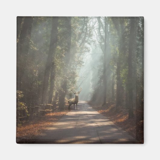 Forces | Woodland Stag Magneet (Voorkant)