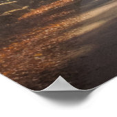 Forces | Woodland Stag Poster (Hoek)