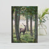 Forces Woodlands & Red Deer Bedankkaart (Staand voorkant)