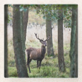 Forces Woodlands & Red Deer Glazen Onderzetter (Voorkant)