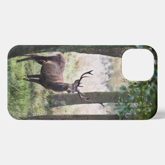 Forces Woodlands & Red Deer iPhone Hoesje (Achterkant horizontaal)