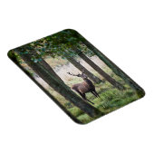 Forces Woodlands & Red Deer Magneet (Rechterzijde)