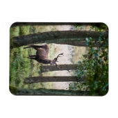 Forces Woodlands & Red Deer Magneet (Horizontaal)