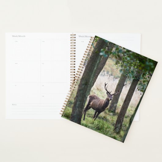 Forces Woodlands & Red Deer Planner (Display)