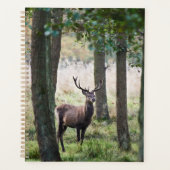 Forces Woodlands & Red Deer Planner (Voorkant)