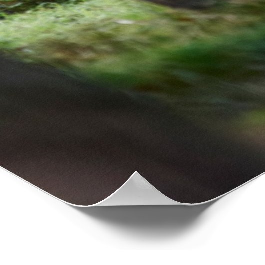 Forces Woodlands & Red Deer Poster (Hoek)