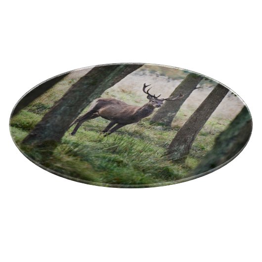 Forces Woodlands & Red Deer Snijplank (Hoek)