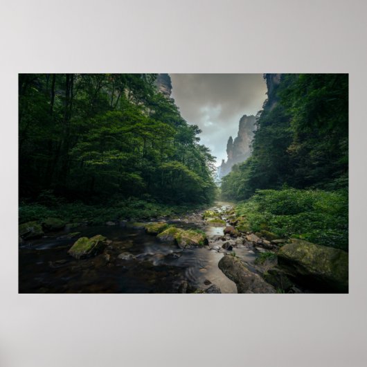 Forces | Zhangjiajie National Forest Park Poster (Voorkant)