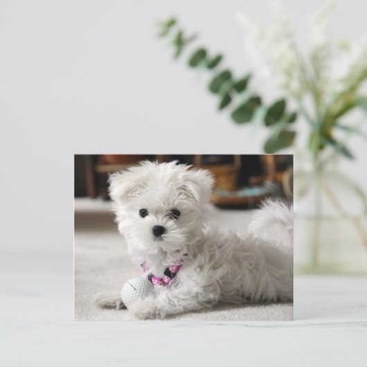 Fore! Briefkaart (Staand voorkant)