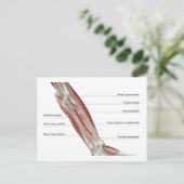 Forearm Musculoskeleton Briefkaart (Staand voorkant)