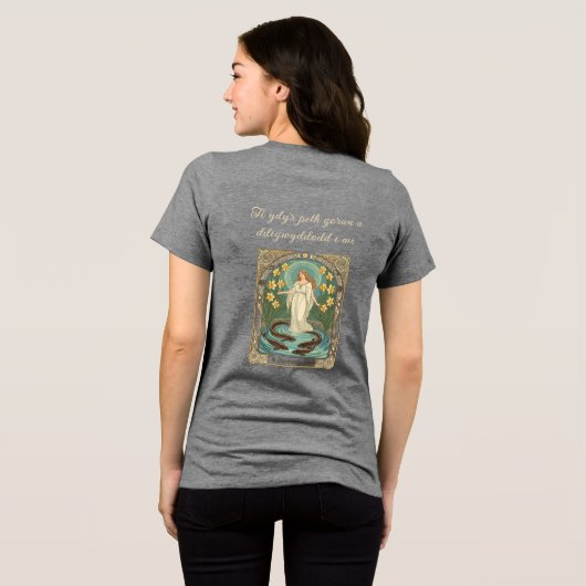 Forecasting Lovers' Fortunes Dwynwen's Well And Sa Tri-Blend Shirt (Achterkant volledig)