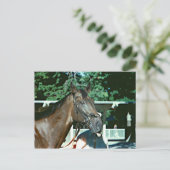 Forego Racehorse 1977 Briefkaart (Staand voorkant)