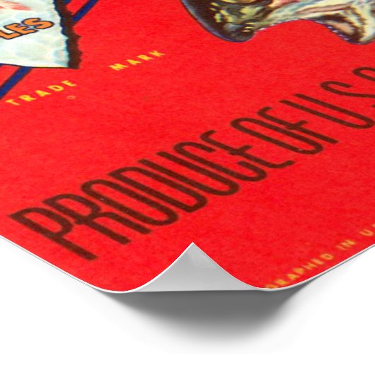  forel Brand Washington Apples Poster (Hoek)