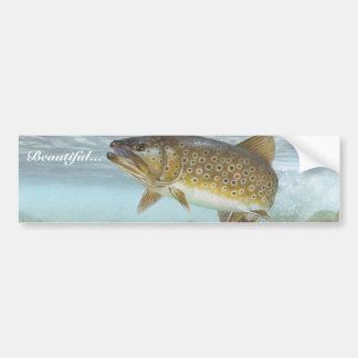 forel, brook bumpersticker