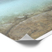 forel, brook poster (Hoek)