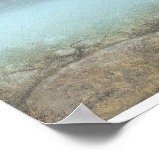 forel, brook poster (Hoek)