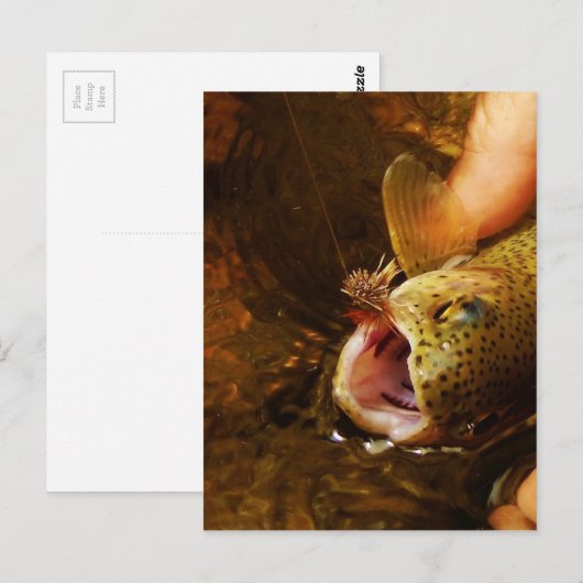 forel en vliegen briefkaart (Voorkant / Achterkant)