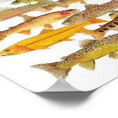 forel- en zalmsoorten poster (Hoek)