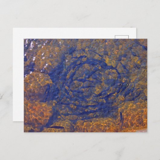 Forel in een strakke bal in een vijver, Charlevoix Briefkaart (Voorkant / Achterkant)