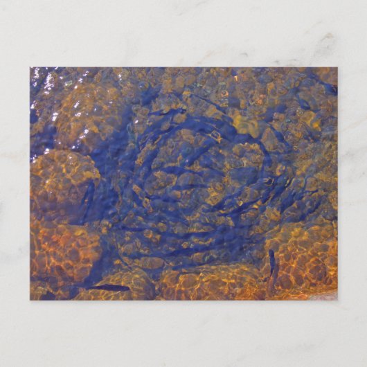 Forel in een strakke bal in een vijver, Charlevoix Briefkaart (Voorkant)