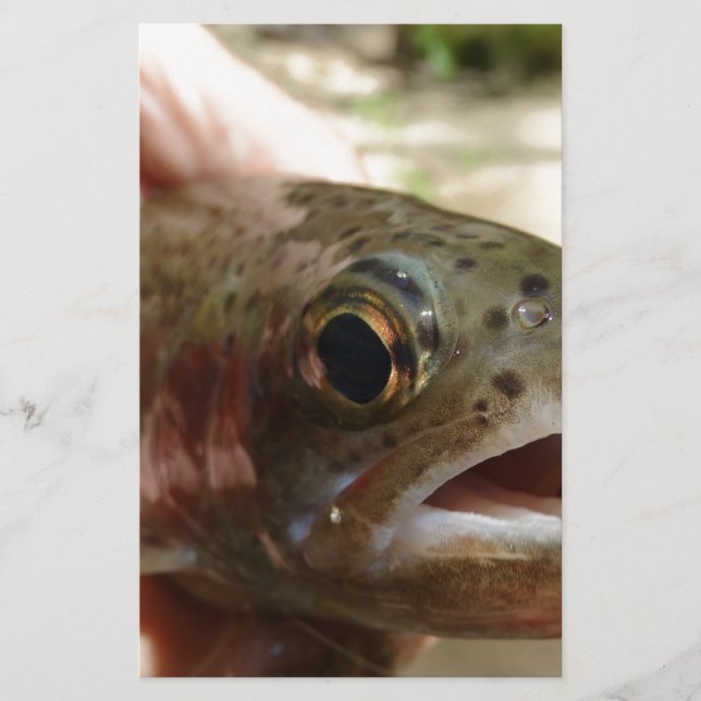 Forel in handen (Voorkant)